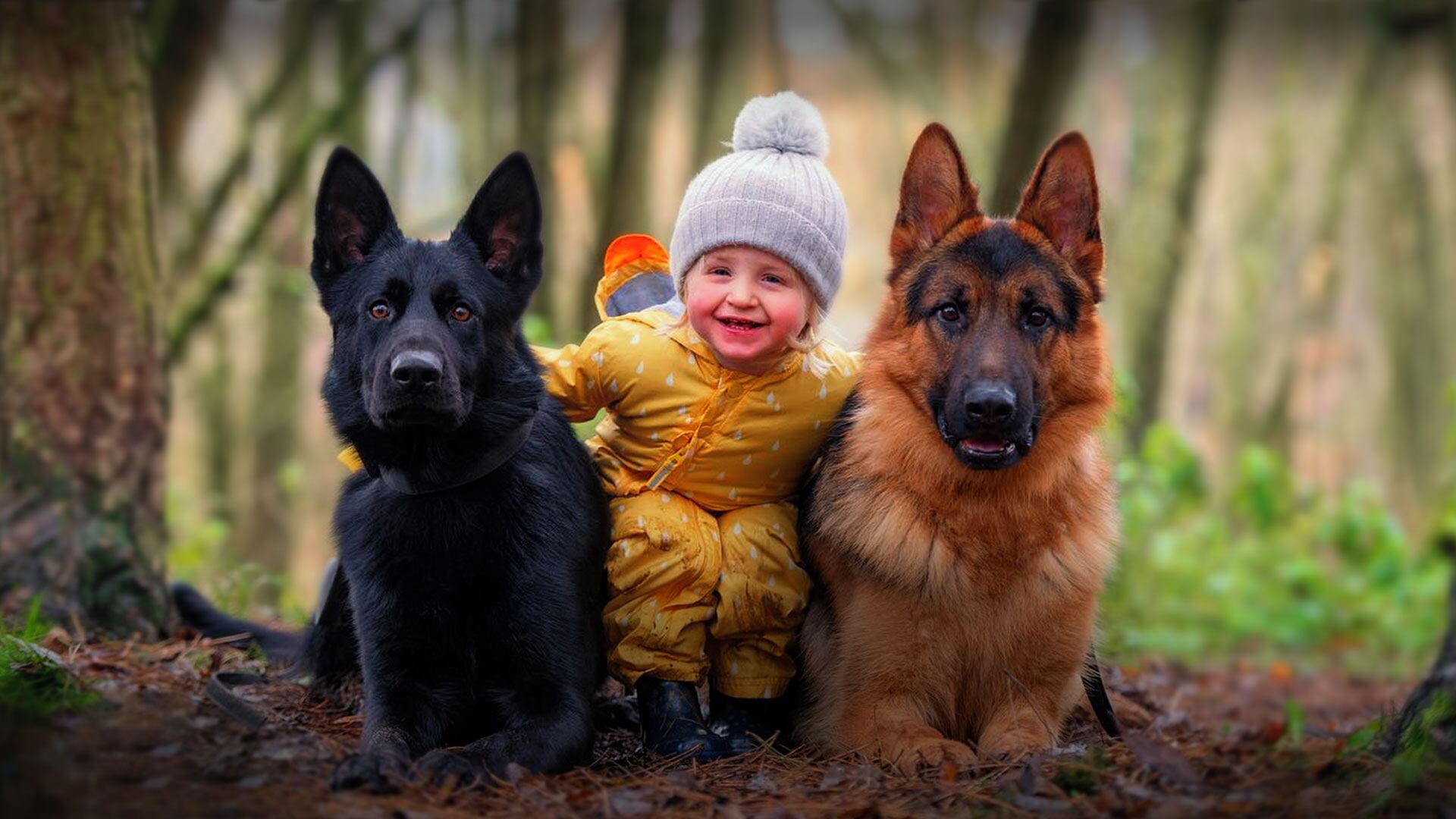 The Importance of Early Socialization